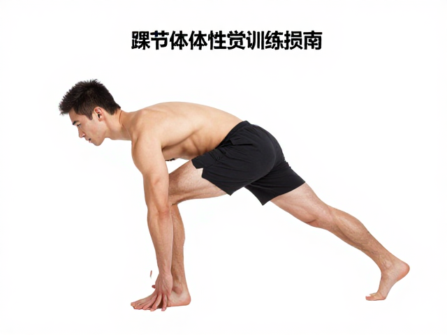 踝关节灵活性训练指南,全程恢复修复软组织损伤