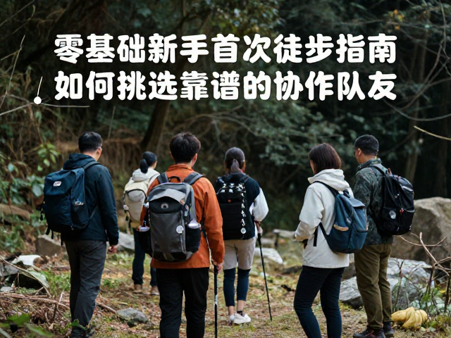 实地观察与磨合：动态评估协作效能