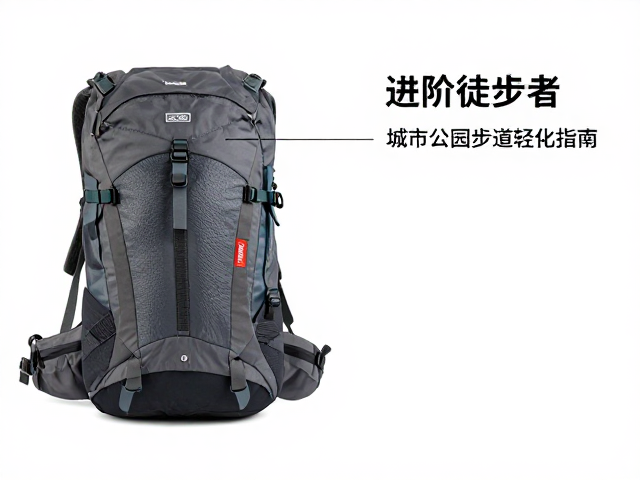 结构细节:分区逻辑与人体工学适配