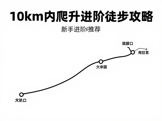新手进阶路线推荐