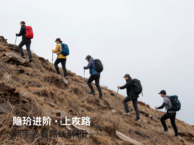 行进技巧与风险控制
