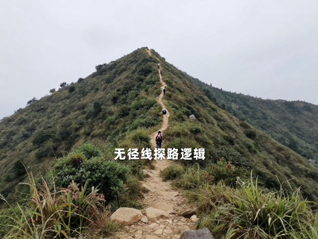 低山徒步进阶：无径线探路的核心逻辑