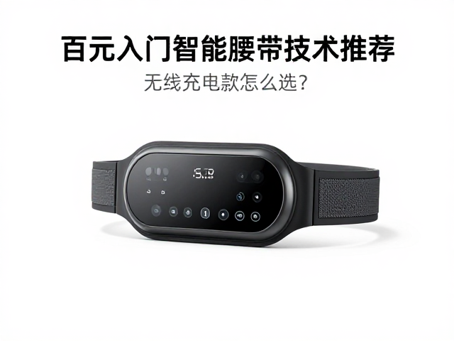 百元入门智能腰带按摩器推荐，无线充电款怎么选？