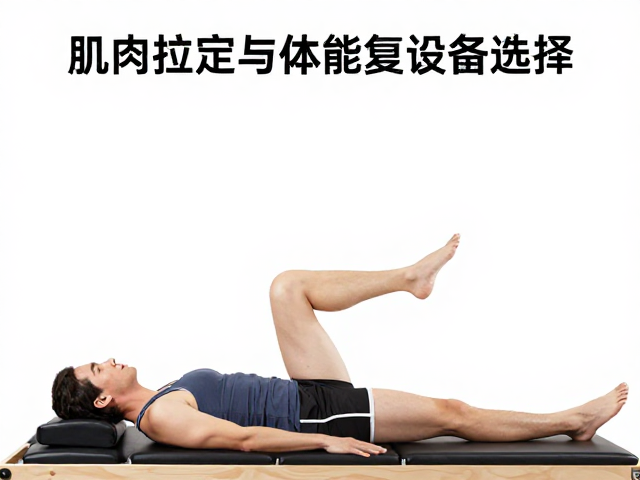 康复训练阶段的生理适应与负荷管理