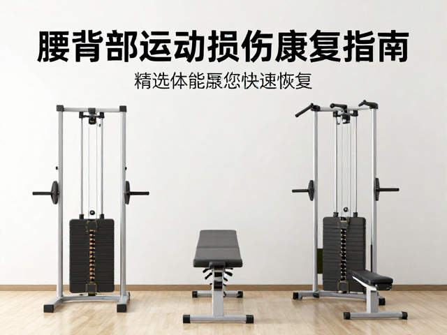 精选体能康复设备的应用场景
