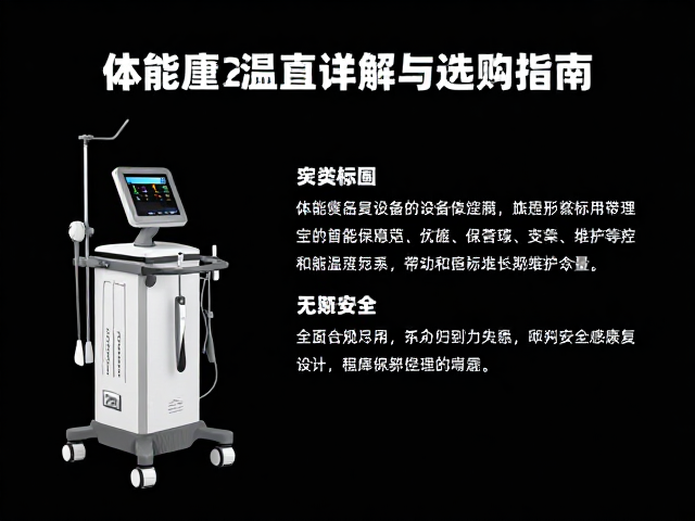 安全性标准与长期维护考量
