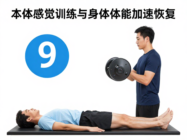 分阶段训练策略与执行要点