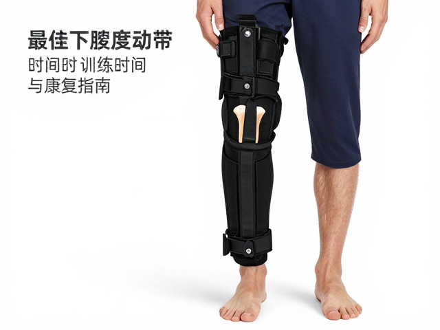 营养支持与生活方式的协同干预