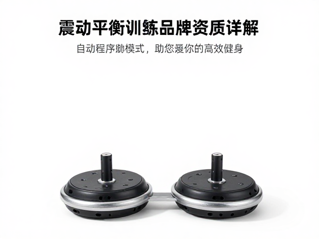 震动平衡训练器品牌资质详解，自动程序模式助您高效健身