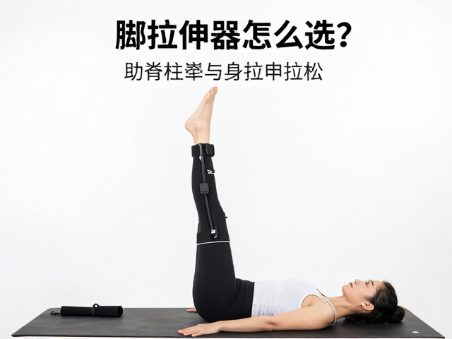数据支撑下的长期收益与注意事项