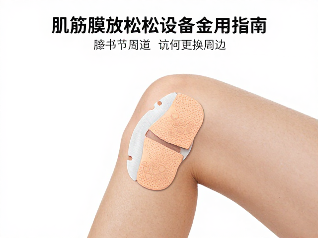更换周期管理与卫生安全标准