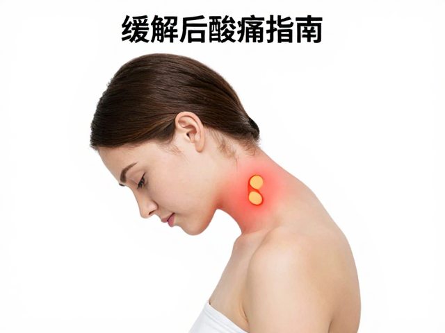 标准化操作指南与安全注意事项