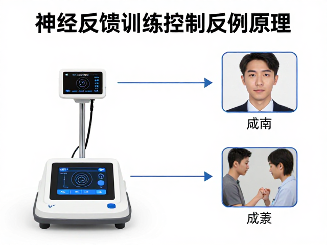 技术标准化与安全性规范