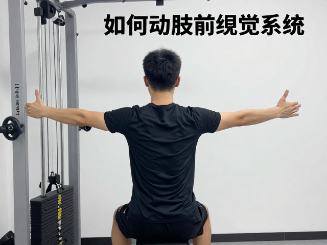 科学验证的训练效果与长期稳定性