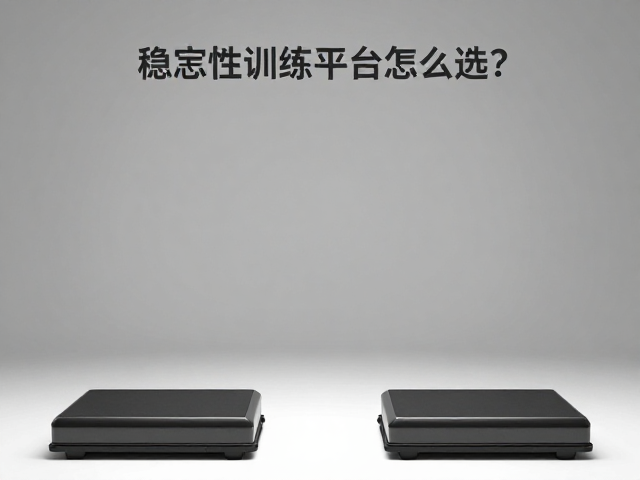 动态控制核心：响应速度与反馈机制的精准匹配