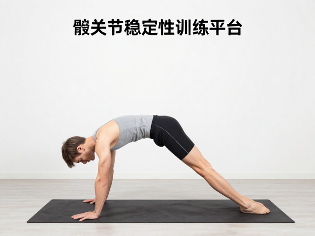 髋关节稳定训练指南，家庭康复与稳定性训练平台推荐