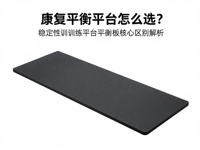 安全性评估与风险控制要点