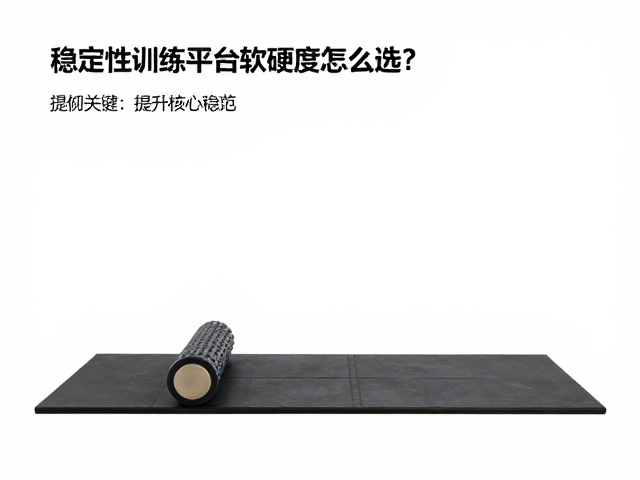 安全性评估与动作规范要点