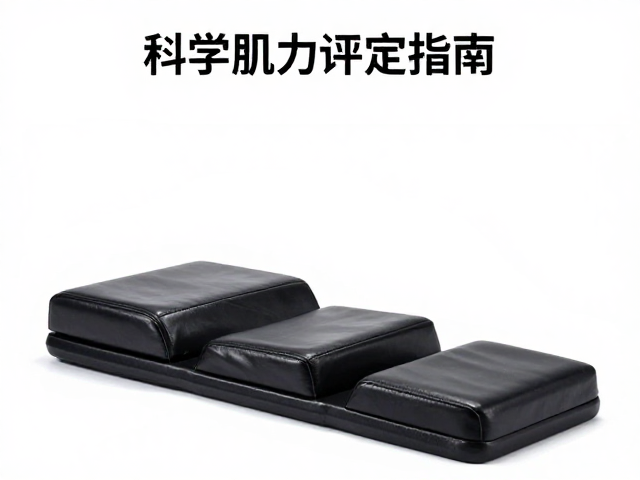 训练方案的渐进式设计与个性化调整