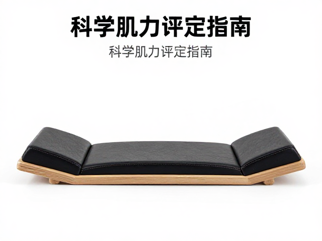 核心肌群训练的生理学基础与生物力学机制