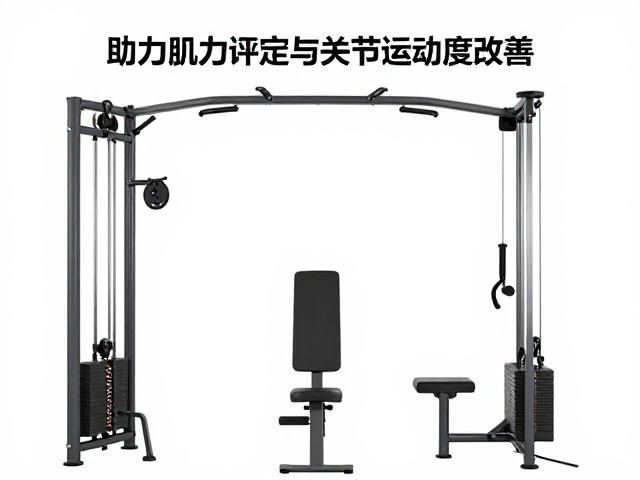 核心肌群训练器怎么选？助力肌力评定与关节活动度改善