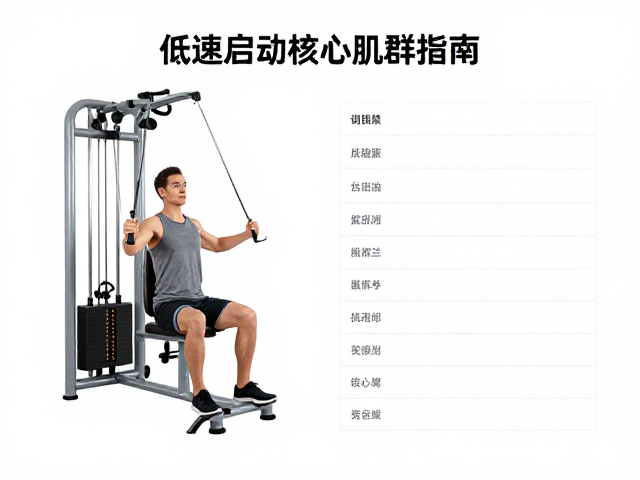 低速启动核心肌群训练器，康复报告生成与训练指南