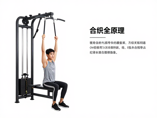 标准化训练流程与动作执行规范