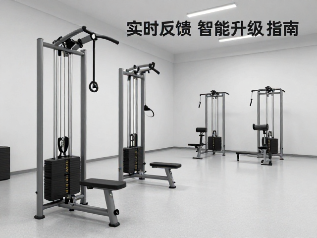 训练机构部署智能反馈系统的实施路径