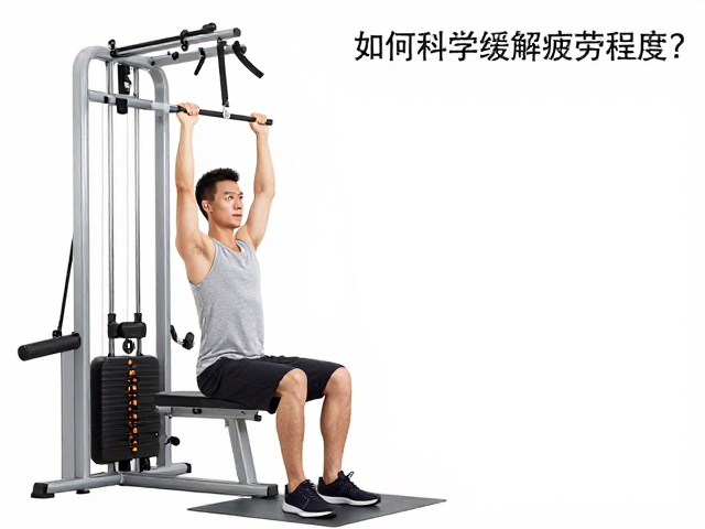 训练频率与恢复周期的科学管理