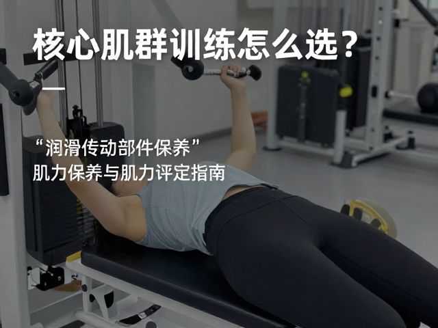 肌力评定与核心功能评估的科学方法