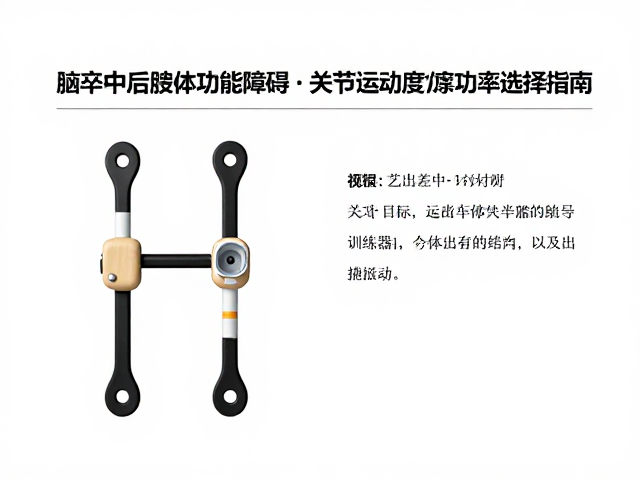 个体差异与动态调整机制