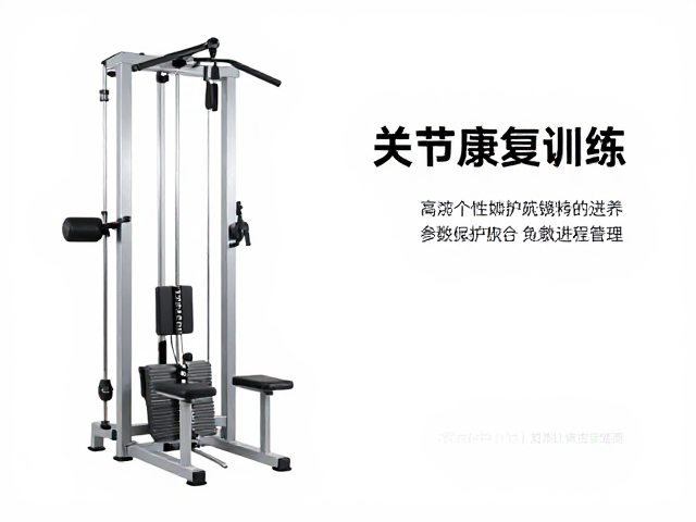 个性化参数设定与康复进程管理