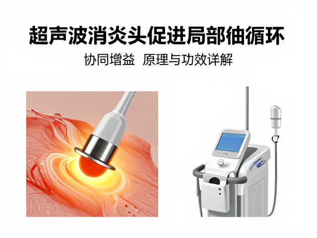 声头振动对毛细血管网的微循环改善作用