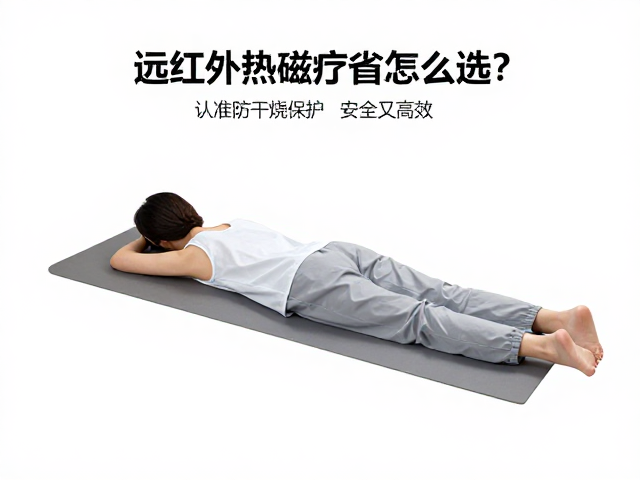 选购要点：材质、结构与适用场景