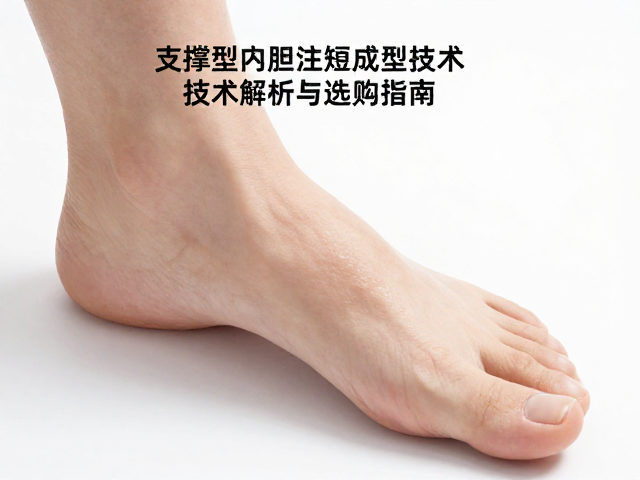 硬质支撑鞋热塑型内胆注塑成型技术解析与选购指南
