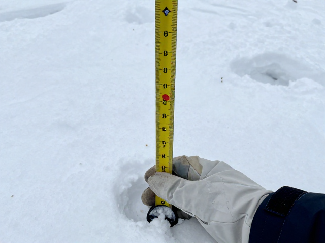 雪厚丈量杆单手可装?专业款几百元值吗?实测揭秘