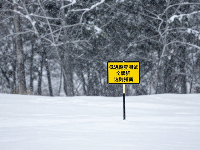 暴风雪中远距离呼救标,低温耐受测试全解析与选购指南