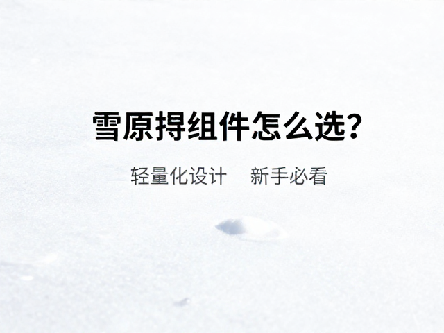 雪原搜寻组件怎么选？轻量化设计，国际搜救指南，新手必看