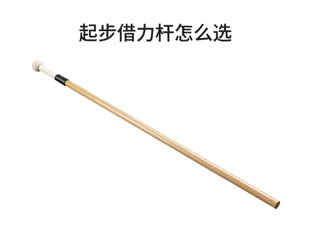 起步借力杆怎么选?儿童需监护,轻量化极致追求选购指南