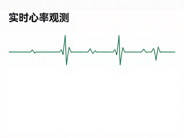 实时心率监测,运动数据报表,体征观测表,打造全方位健康数据闭环