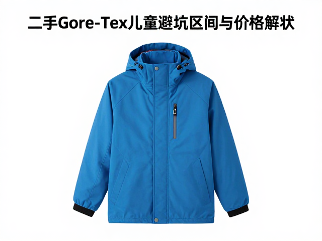 二手Gore-Tex孩童风雪衣怎么选?避坑指南与价格解析