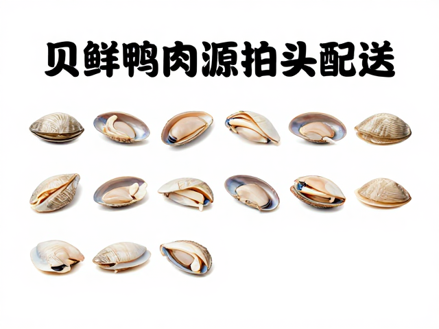 配送时效保障与服务质量监控体系