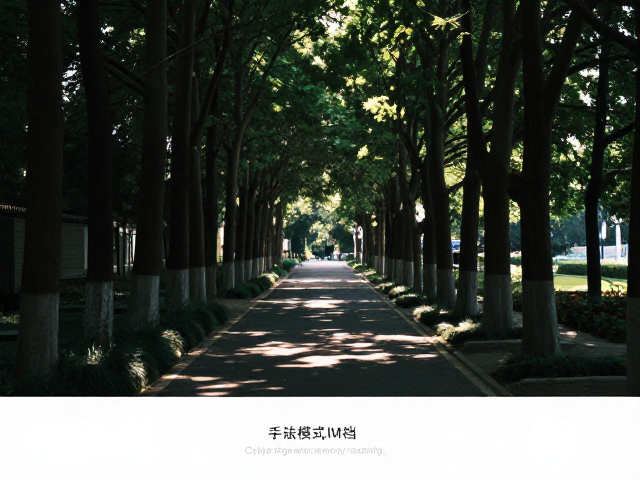 提前踩点与光线时机的精准预判