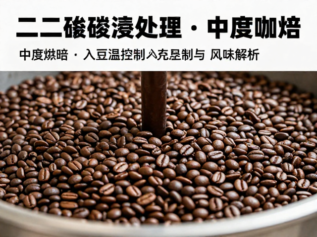 二氧化碳浸渍处理，中度烘焙，入豆温控制与风味解析