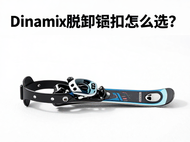 Dinamix脱卸锁定扣怎么选?野雪粉雪滑雪装备指南