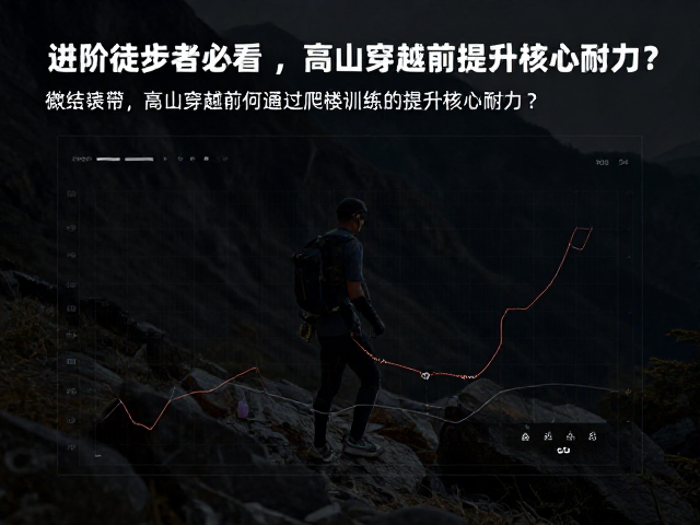 数据监控与体能恢复的科学管理
