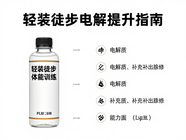电解质流失机制与补充策略