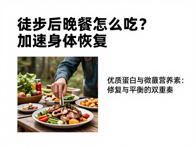 优质蛋白与微量营养素:修复与平衡的双重奏