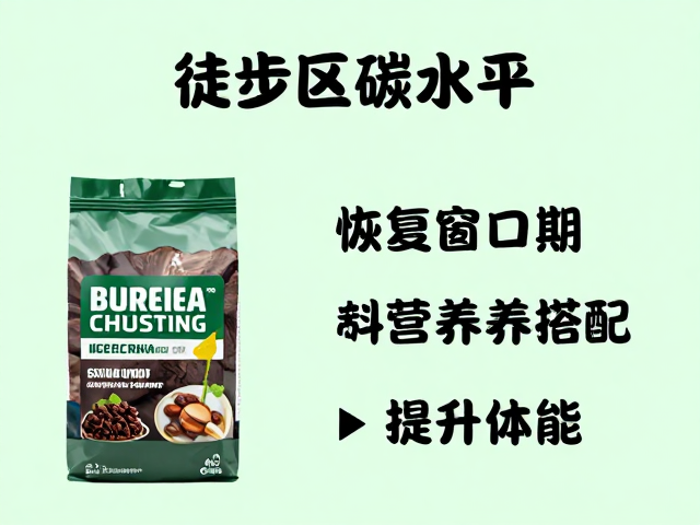 科学营养搭配提升体能的全周期管理