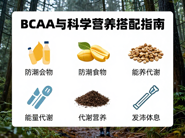 雨季环境对能量代谢与营养流失的影响机制